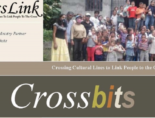 CrossBits Winter 2021 Newsletter
